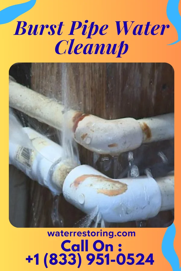 Burst Pipe Water Cleanup in Sea Isle City, NJ