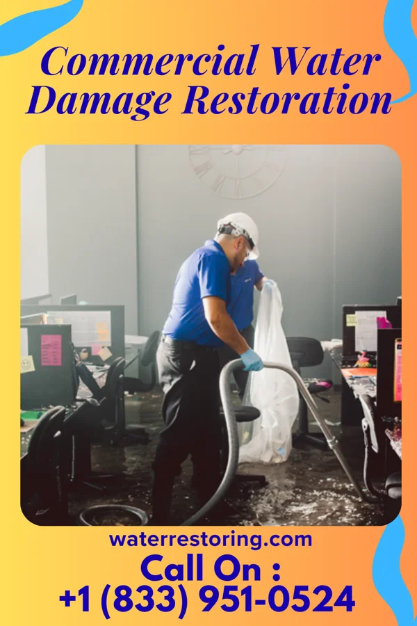 Commercial Water Damage Restoration in Sea Isle City, NJ