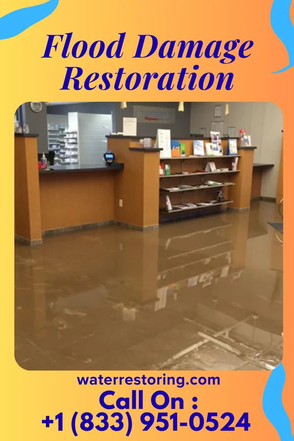 Flood Damage Restoration in Sea Isle City, NJ