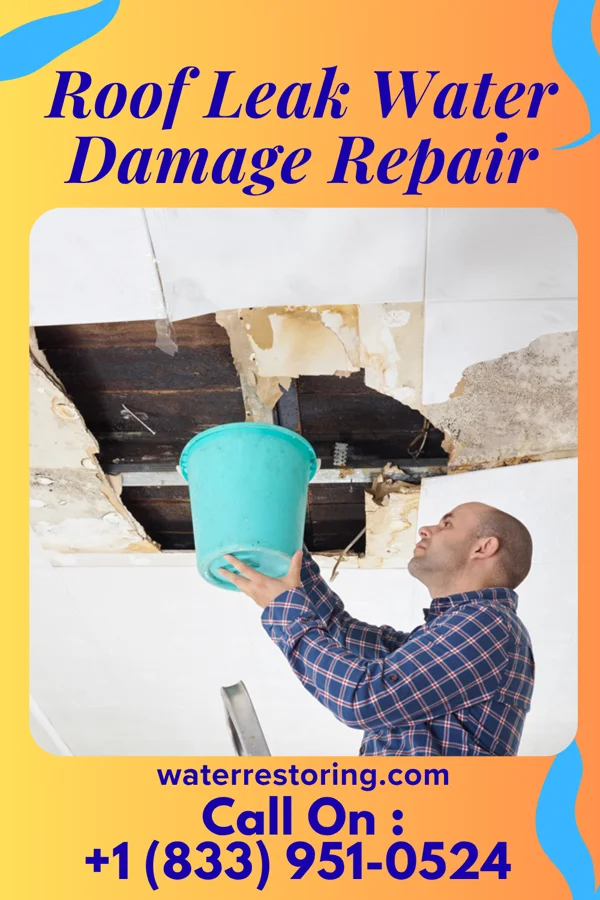 Roof Leak Water Damage Repair in Sea Isle City, NJ