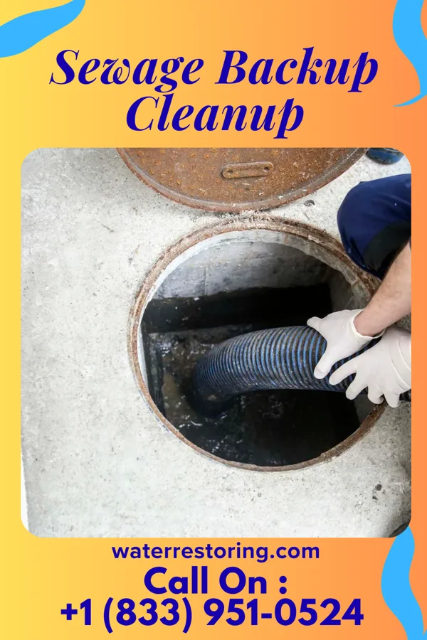 Sewage Backup Cleanup in Sea Isle City, NJ