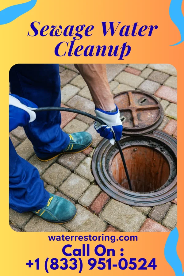 Sewage Water Cleanup in Sea Isle City, NJ
