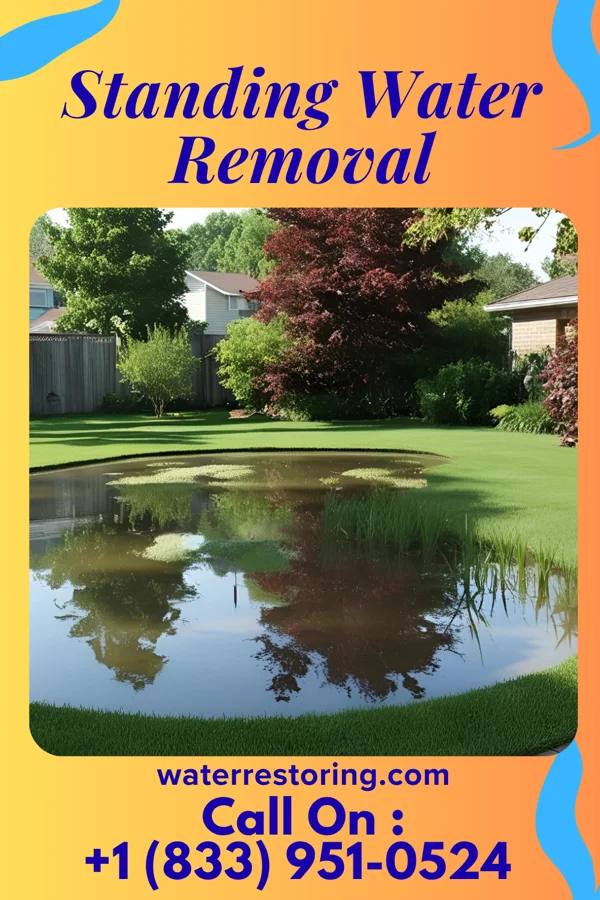 Standing Water Removal in Sea Isle City, NJ